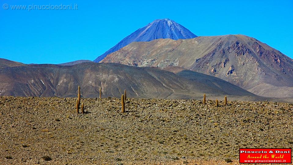 CILE - Sulla strada per San Pedro de Acatama - 10.jpg